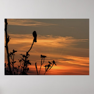Poster un oiseau dans l'arbre au coucher du soleil