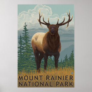 Poster Un parc national plus pluvieux, scène de
