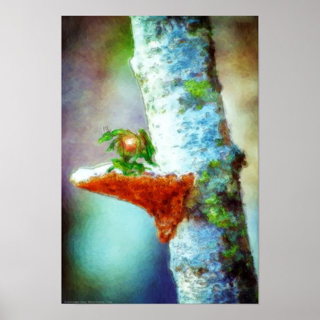 Poster Un Petit Dragon Dort (Devant)