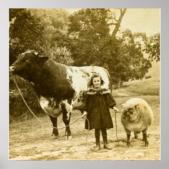 Poster Un Petit Enfant Les Dirige (Devant)