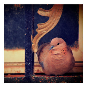 Poster Un peu de liquide