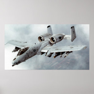 Poster Un phacochère A-10