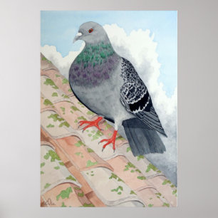 Poster Un pigeon se repose sur un toit