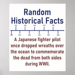 Poster Un pilote de chasse japonais - Histoire