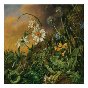 Poster Un plancher forestier avec marguerites, primeurs,
