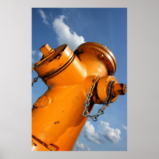 Poster Un point de vue chien