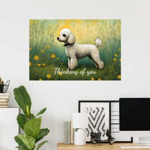 Poster Un Poodle Adorable Dans L'Ombre Pensant De Vous