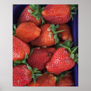 Poster un punnet de fraises fraîches mûres à vendre en