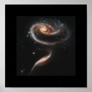 Poster Un Rose En Galaxies - Télescope Spatial Hubble