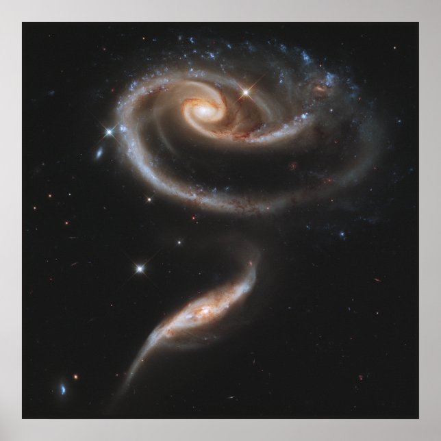 Poster Un Rose fait de galaxies (Devant)