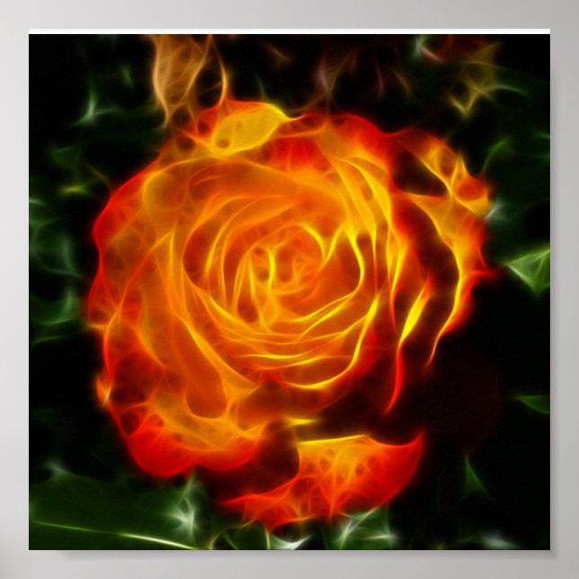Poster Un Rose magnifique en feu (Devant)