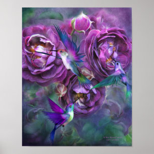 Poster Un Rose Nommé Violette Art Poster/Imprimer