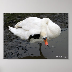 Poster Un salut élégant