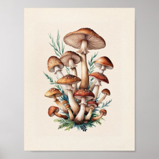 Poster Un simple champignon