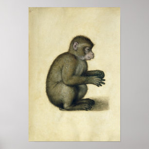 Poster Un singe