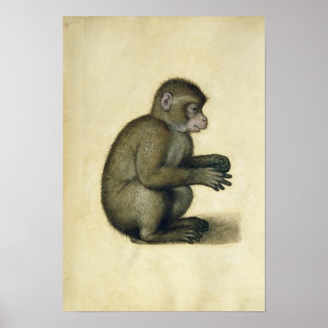 Poster Un singe (Devant)