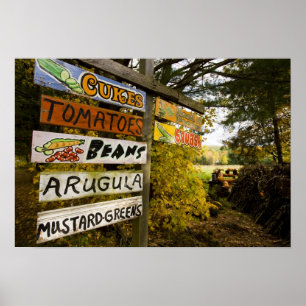 Poster Un stand de ferme à Holderness, New Hampshire.