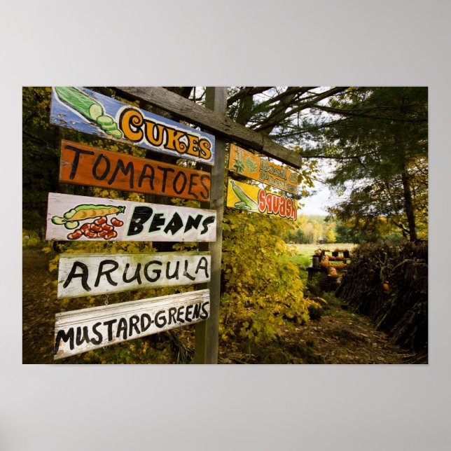 Poster Un stand de ferme à Holderness, New Hampshire. (Devant)