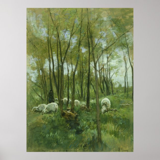 Poster Un troupeau de moutons dans une forêt, Anton Mauve (Devant)