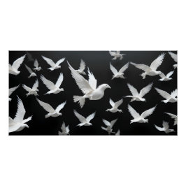 Poster Un troupeau lumineux dans un vide foncé