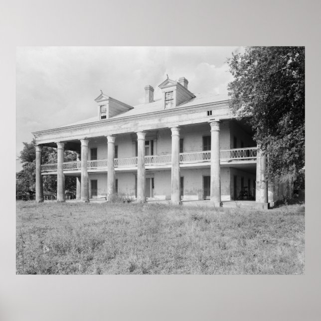 Poster Uncle Sam Plantation (Devant)