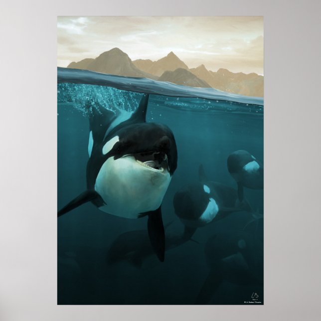 Poster Underwater scene with orca familiale (Devant)