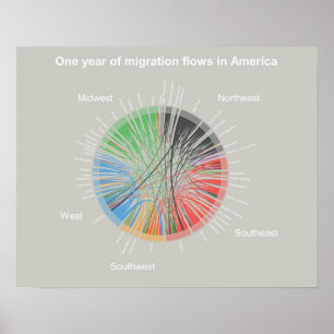 Poster Une année de flux migratoires en Amérique