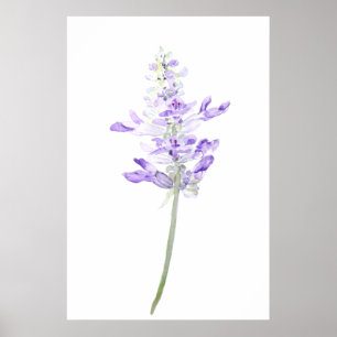 Poster une aquarelle violette de lavande