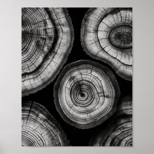 Poster Une Bague d'Arbre Noir et Blanc Imprimer