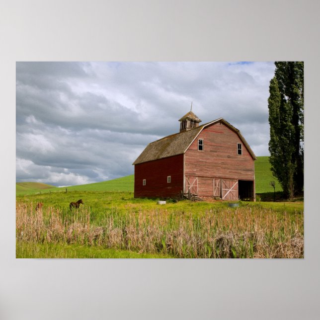 Poster Une balade à travers la campagne de Palouse 4 (Devant)