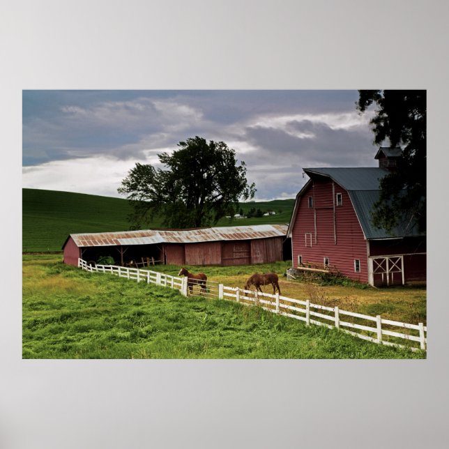 Poster Une balade à travers la campagne de Palouse 4 (Devant)