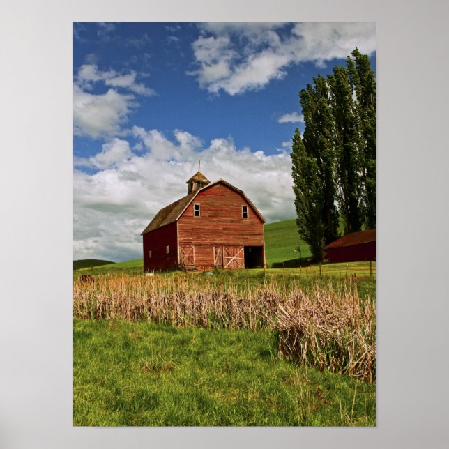 Poster Une balade dans le pays agricole de Palouse (Devant)