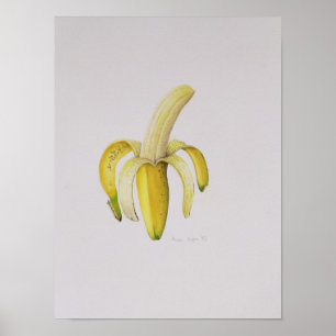 Poster Une banane Moitié-épluchée 1997