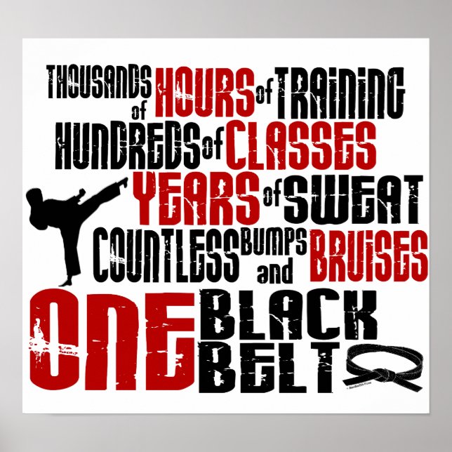 Poster UNE ceinture noire 2 (Devant)