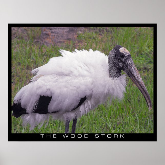 Poster Une cigogne en bois (Devant)
