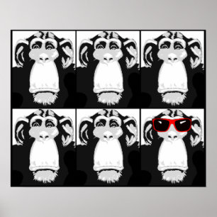 Poster Une copie drôle de signe d'affiche de singe frais