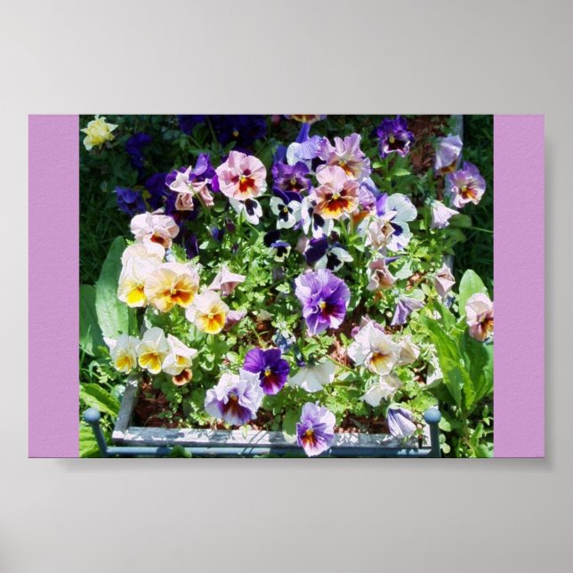 POSTER UNE ÉPAISSE DE COULEUR (Devant)