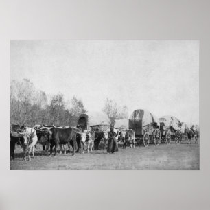 Poster Une femme avec un train Ox tient une photo de hip