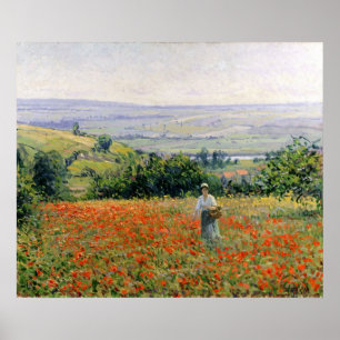 Poster Une femme dans un champ de pavot