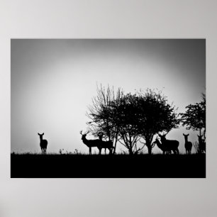 Poster Une image de quelques cerfs communs dans la brume