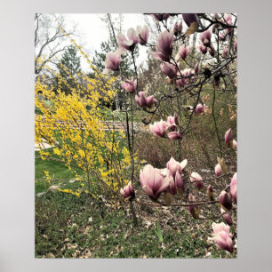 Poster Une journée dans le parc
