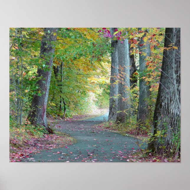Poster Une marche dans les bois Photographie originale Po (Devant)