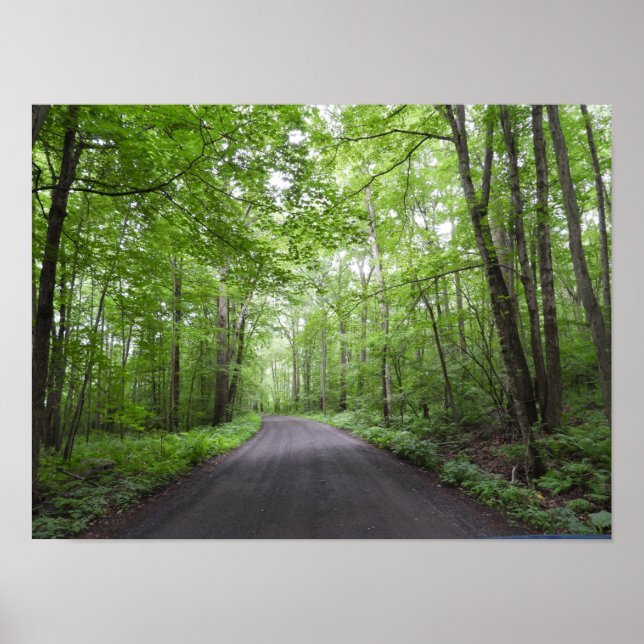 Poster Une marche pacifique à Woods (Devant)