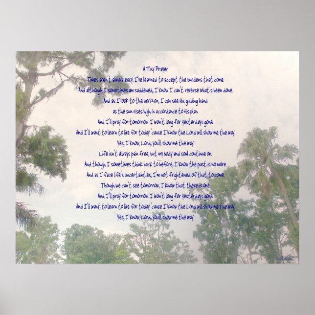 Poster Une minuscule prière (Devant)