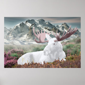 Poster Une orignale blanche dans le mont