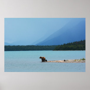 POSTER UNE OURS MÈRE ENSEIGNE SES COUPES À NAGER SUR LE B