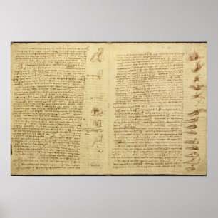 Poster Une page du codex Leicester, 1508-12