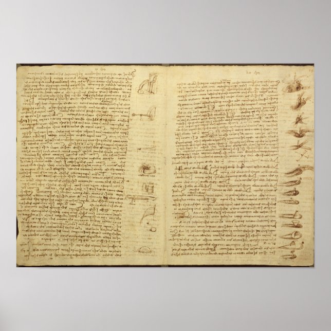 Poster Une page du Codex Leicester, 1508-12 (Devant)