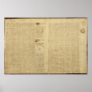 Poster Une page du Codex Leicester, 1508-12