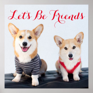 Poster Une paire de Corgis se reposant sur un banc